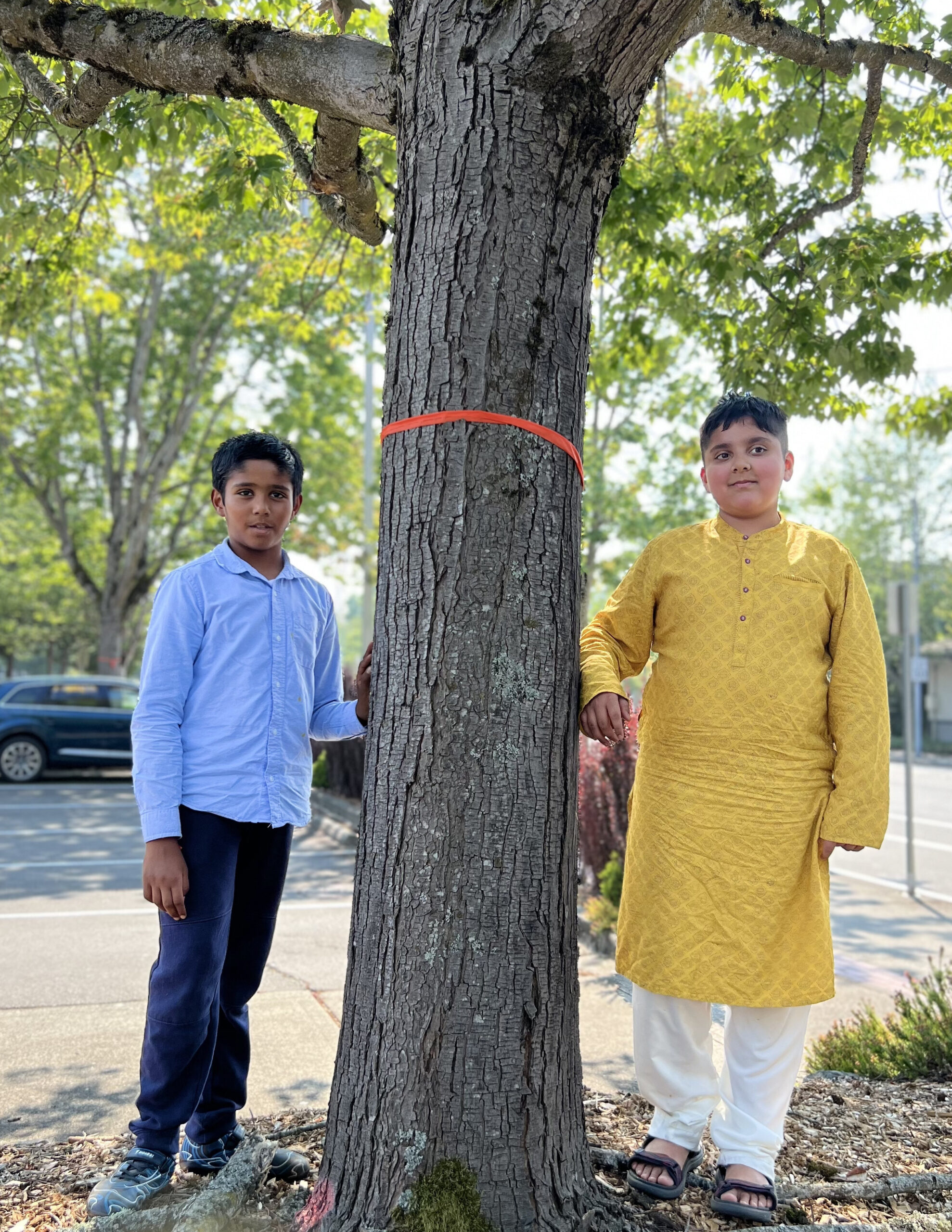 A tree adorned with a Rakhi symbolizes our interconnectedness with nature. Photo by Ritu Jain